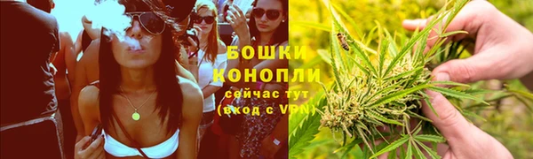 гидропоника Алзамай