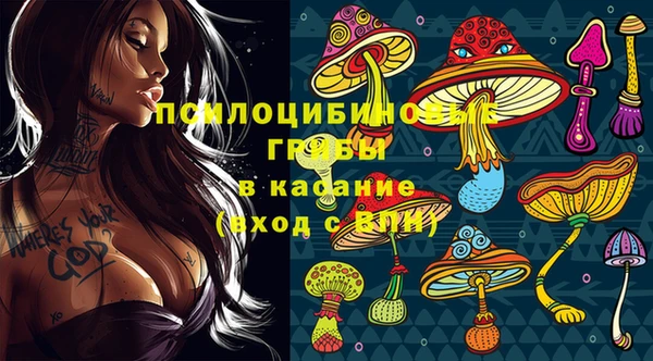 гидропоника Алзамай