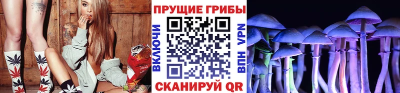 гидра где купить Егорьевск Псилоцибиновые грибы Cubensis